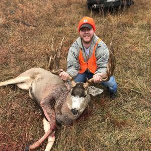 Meet your Posher, Dylan